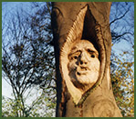 treesculpturecs