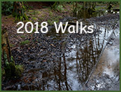 2018walks