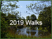 2019walks