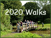 2020walks