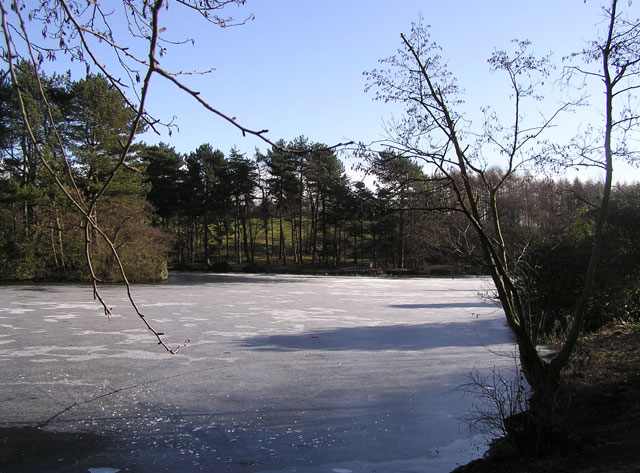 frozenlake