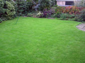 lawns