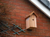 nestbox02s