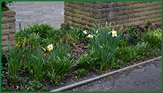 daff046s